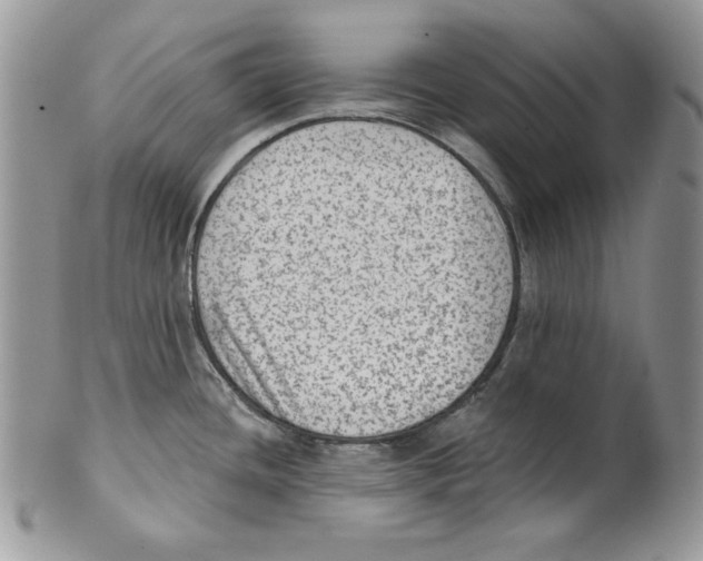 X0000101151436200807251038