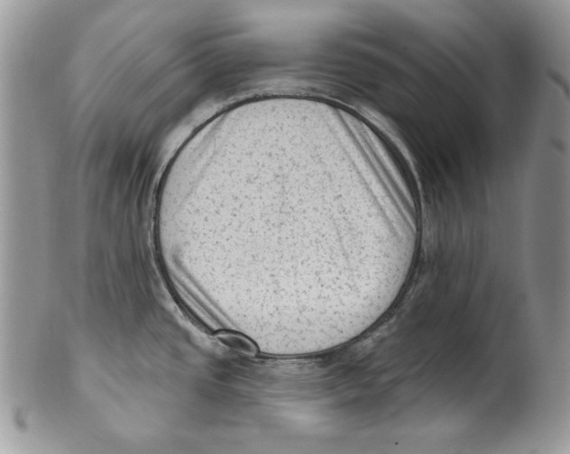 X0000101151437200807251038