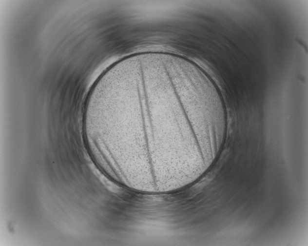 X0000101151438200807251038