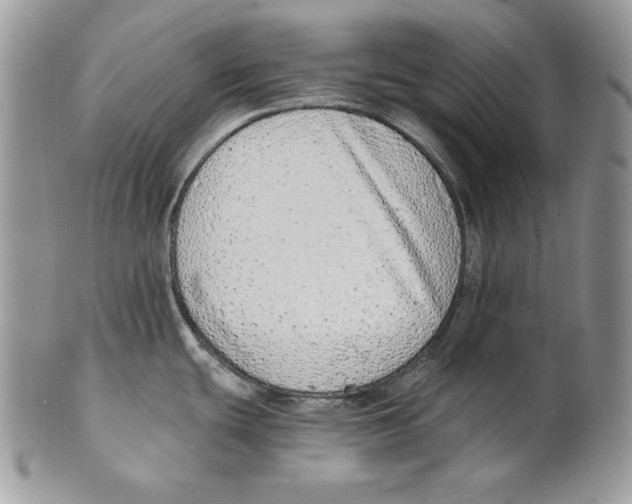 X0000101151439200807251038