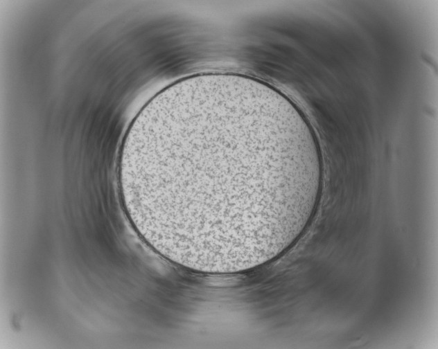 X0000101151440200807251038