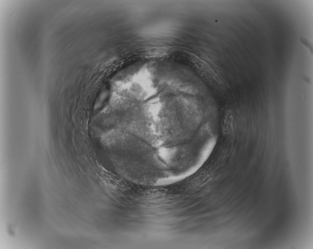 X0000101151441200807251038