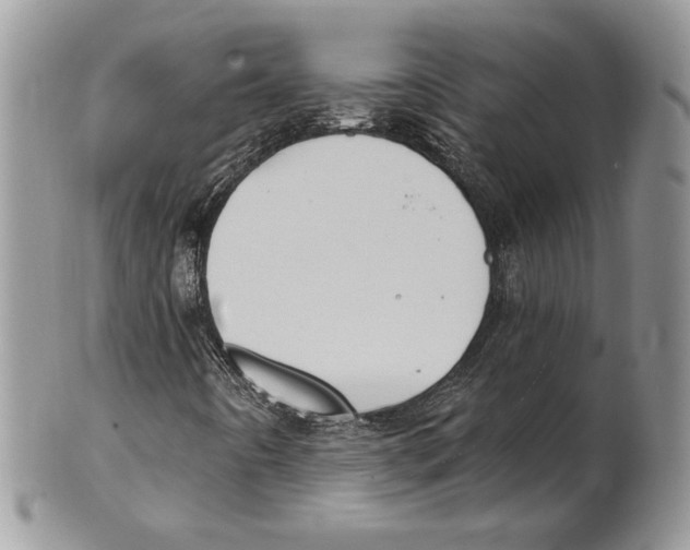 X0000101151442200807251038