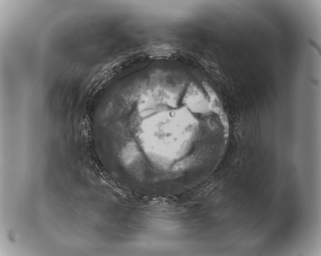 X0000101151445200807251037