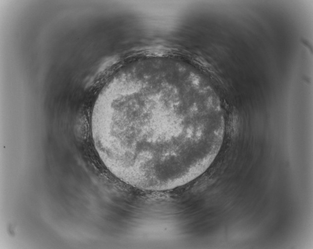 X0000101151446200807251037