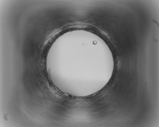 X0000101151448200807251037