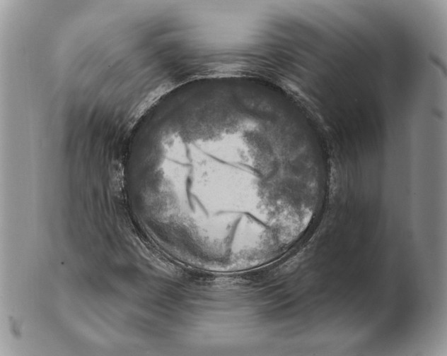 X0000101151449200807251037