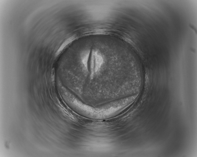 X0000101151450200807251037