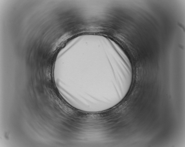 X0000101151451200807251037