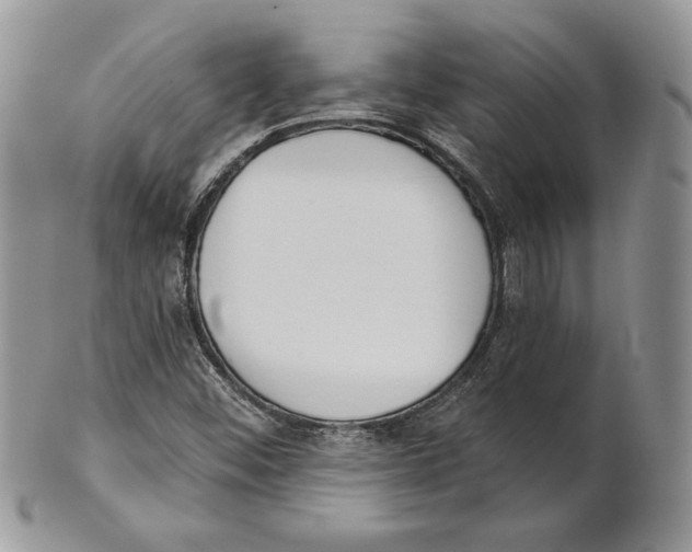 X0000101151452200807251037