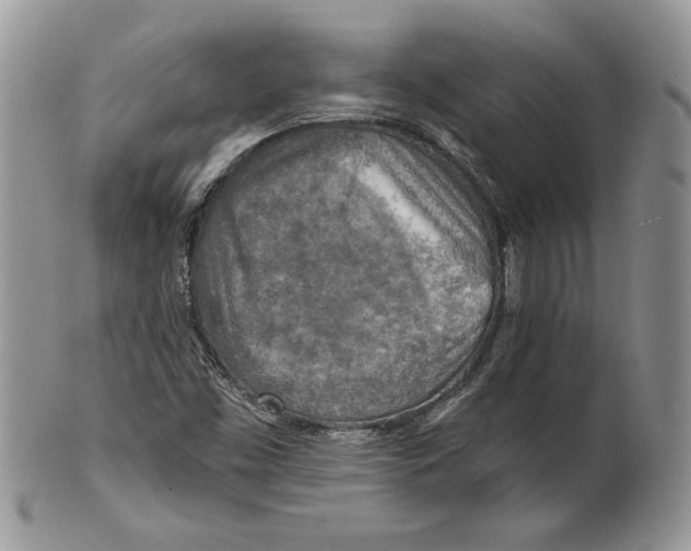 X0000101151453200807251037