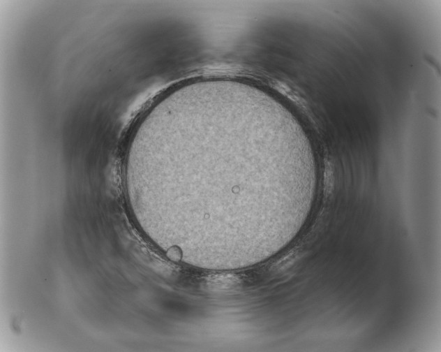 X0000101151454200807251037