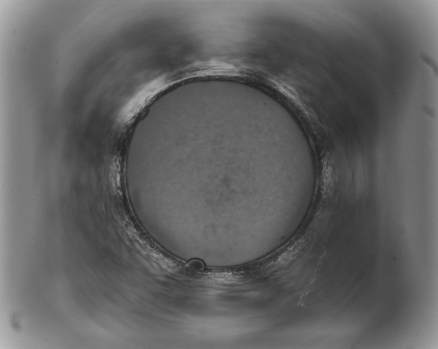 X0000101151455200807251037