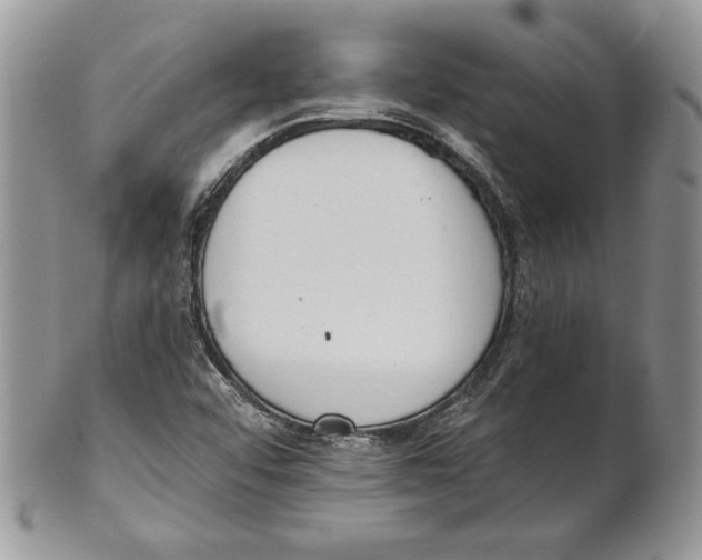 X0000101151456200807251037