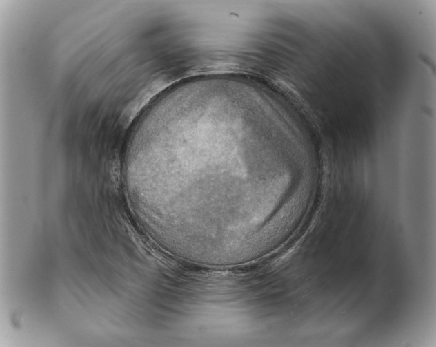 X0000101151457200807251037