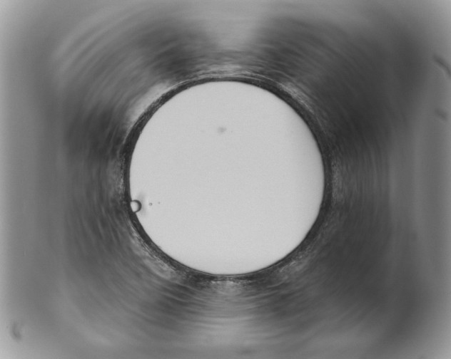 X0000101151458200807251037