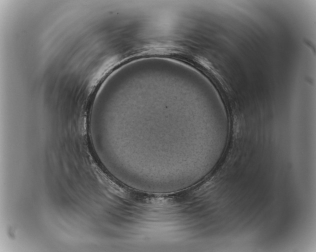 X0000101151459200807251037