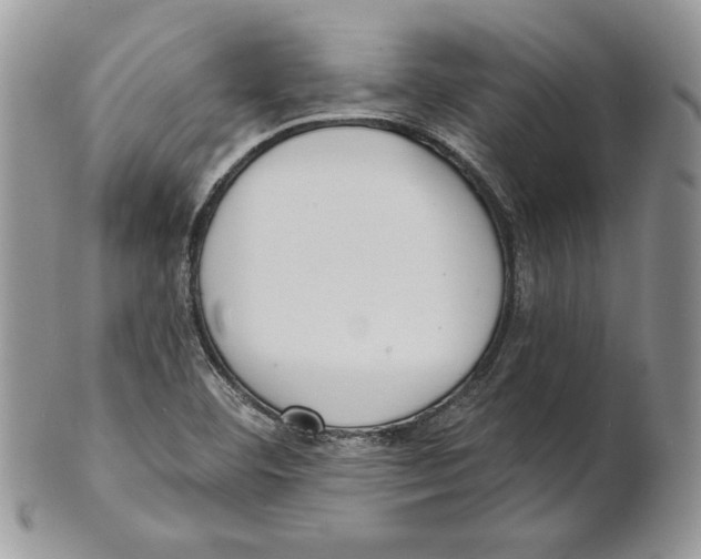 X0000101151460200807251037