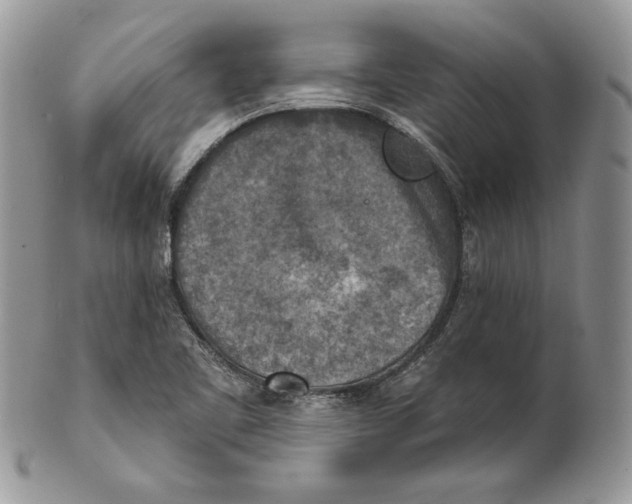 X0000101151461200807251037