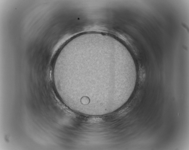 X0000101151462200807251037