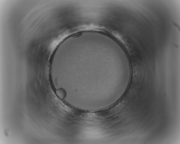 X0000101151463200807251037