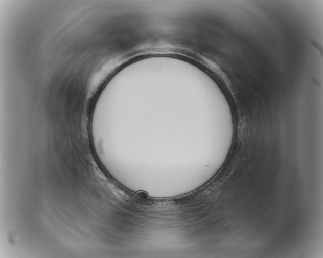 X0000101151464200807251037