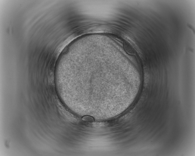 X0000101151465200807251037