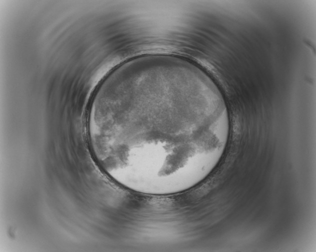 X0000101151466200807251037