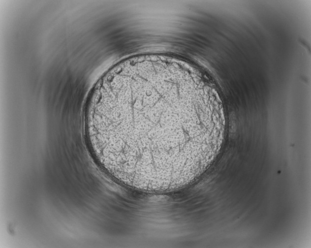 X0000101151467200807251037