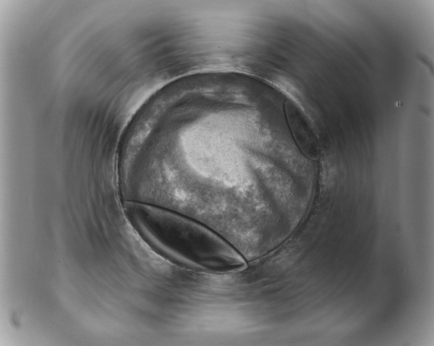 X0000101151468200807251037