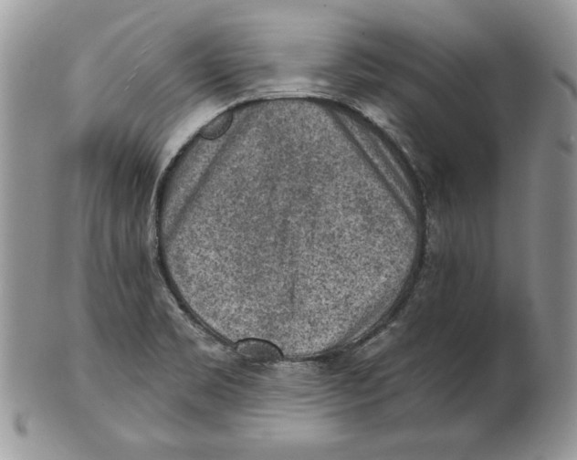 X0000101151469200807251037