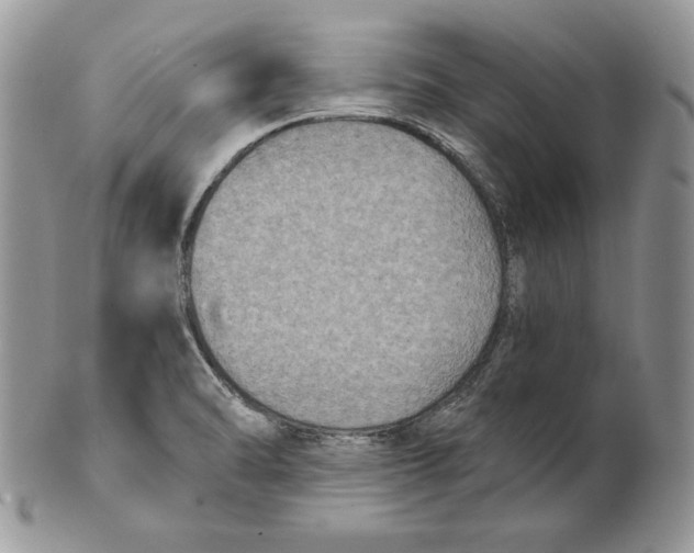 X0000101151470200807251037