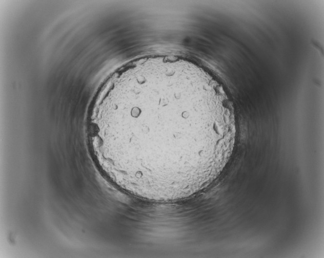 X0000101151471200807251037