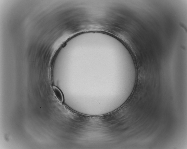 X0000101151472200807251037