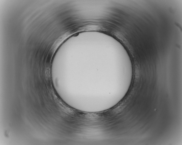 X0000101151473200807251037