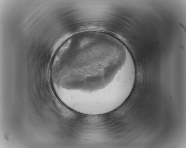 X0000101151474200807251037