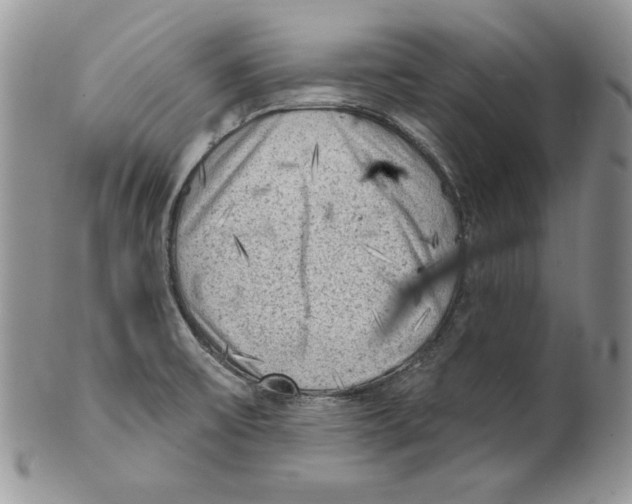 X0000101151475200807251037