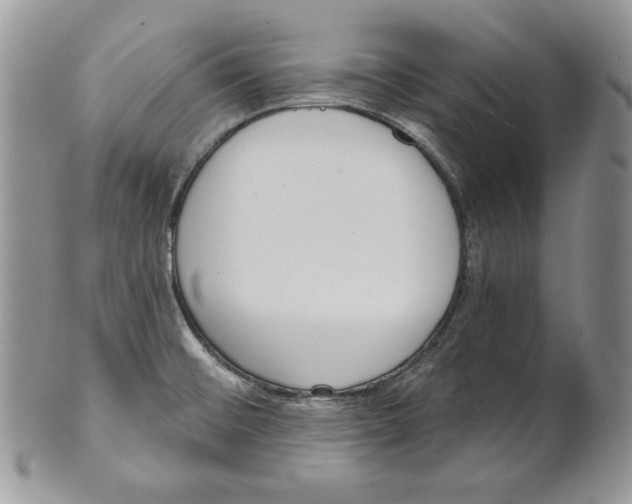 X0000101151476200807251037