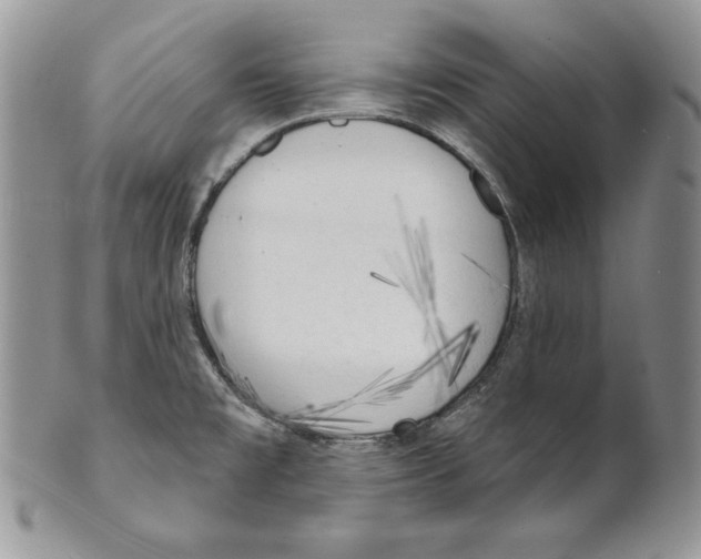 X0000101151477200807251037