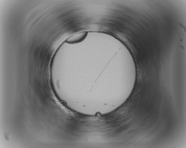 X0000101151479200807251037