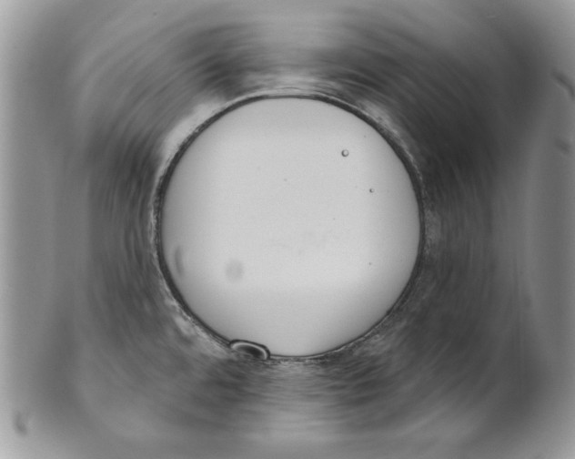 X0000101151480200807251037