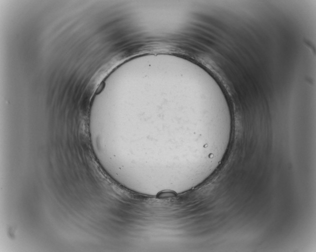 X0000101151481200807251037