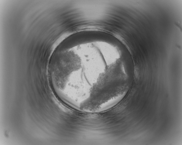 X0000101151482200807251037