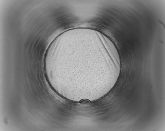 X0000101151483200807251037