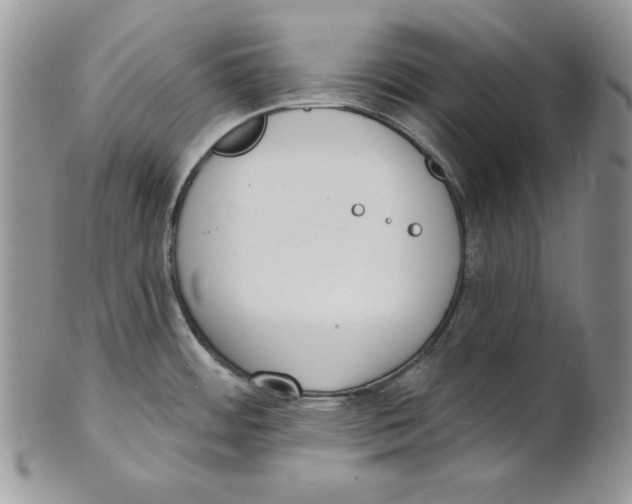 X0000101151484200807251037