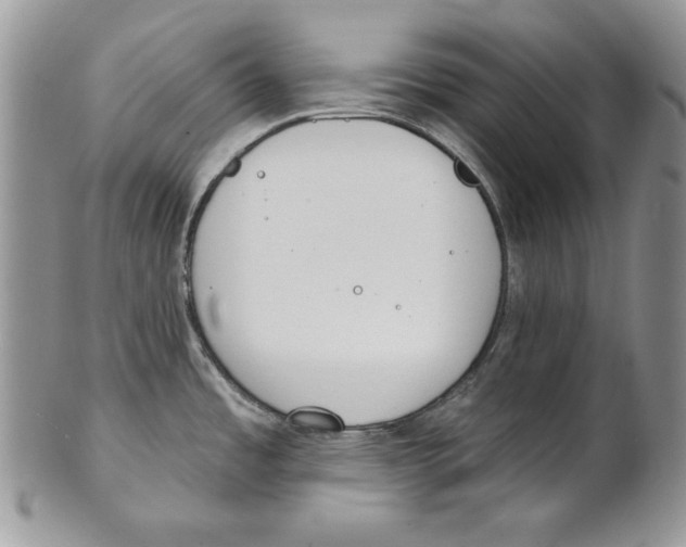 X0000101151485200807251037