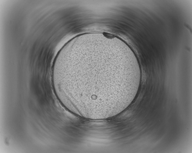 X0000101151486200807251037