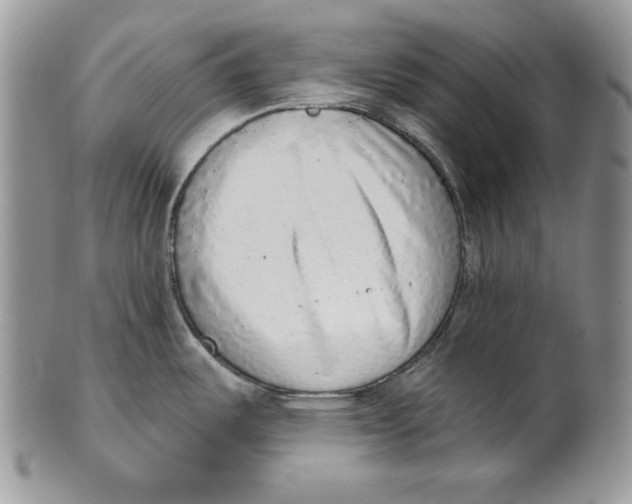 X0000101151487200807251037