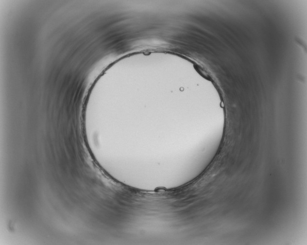 X0000101151488200807251037