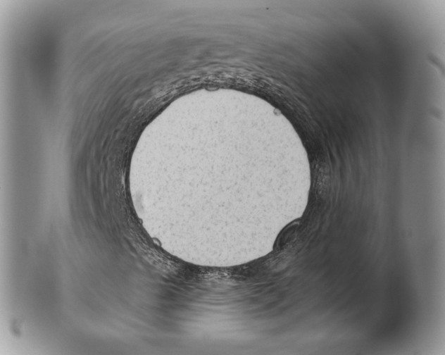 X0000101151489200807251036